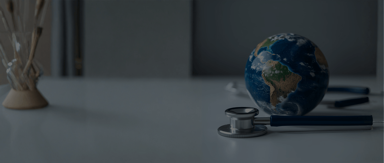 mbbs in russia